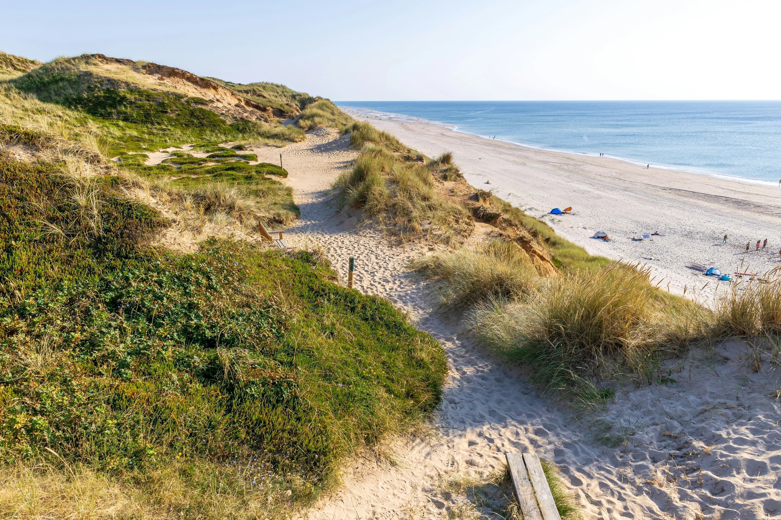 Dünenweg mit Strandhafer und Blick auf den hellen Sandstrand und die Nordsee auf Sylt